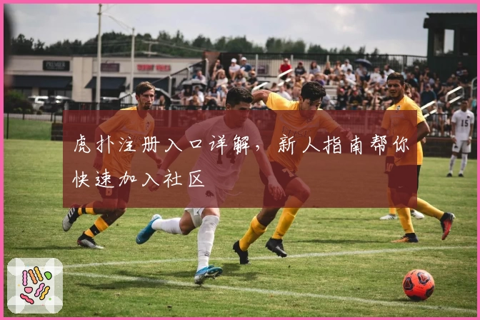 虎扑注册入口详解，新人指南帮你快速加入社区