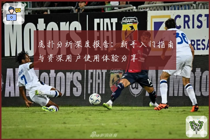虎扑分析深度报告:新手入门指南与资深用户使用体验分享