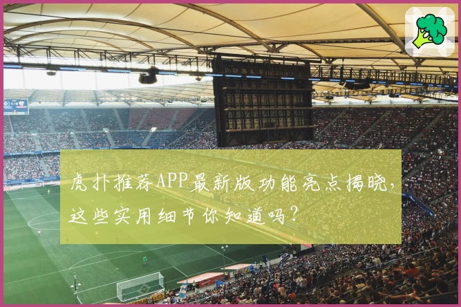 虎扑推荐APP最新版功能亮点揭晓，这些实用细节你知道吗？