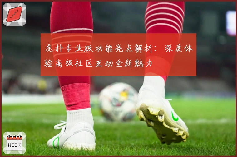 虎扑专业版功能亮点解析：深度体验高级社区互动全新魅力