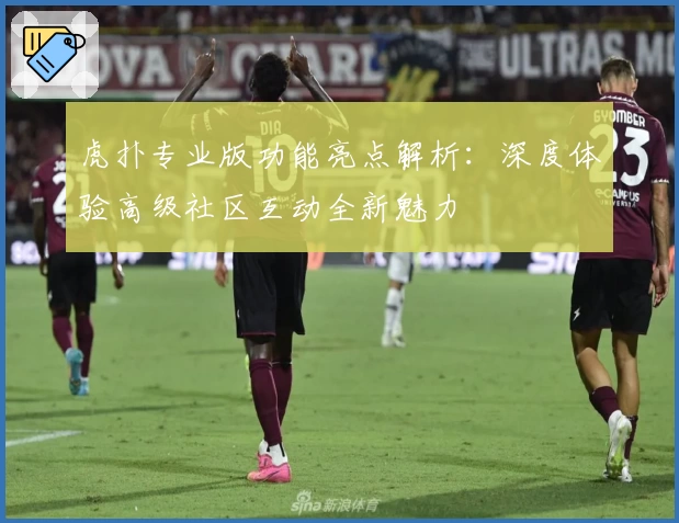 虎扑专业版功能亮点解析：深度体验高级社区互动全新魅力